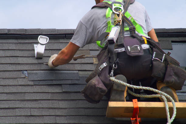 Best Roof Gutter Cleaning  in Shelton, NE