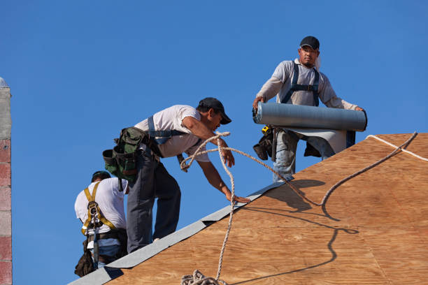 Quick and Trustworthy Emergency Roof Repair Services in Shelton, NE