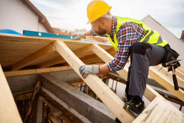 Best Gutter Installation and Roofing  in Shelton, NE
