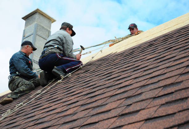 Best Metal Roofing Contractor  in Shelton, NE