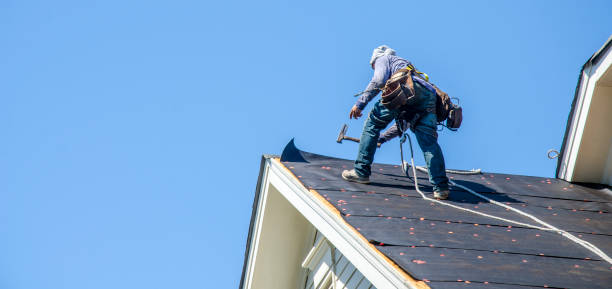 Sealant for Roof in Shelton, NE