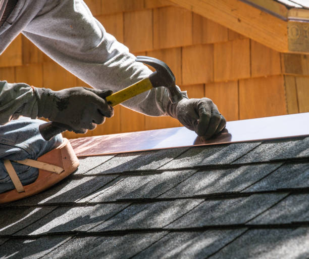 Best Local Roofing Companies  in Shelton, NE